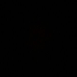 Meet your Posher, Raul